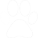 paw