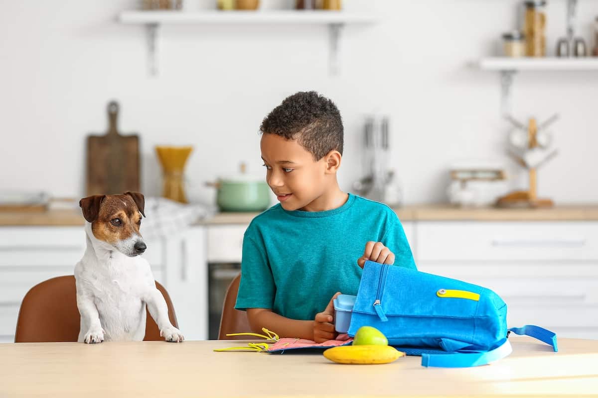 back to school pet separation