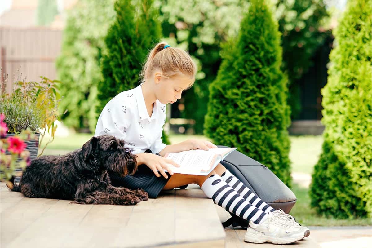 Pet student