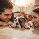 welcoming a new dog